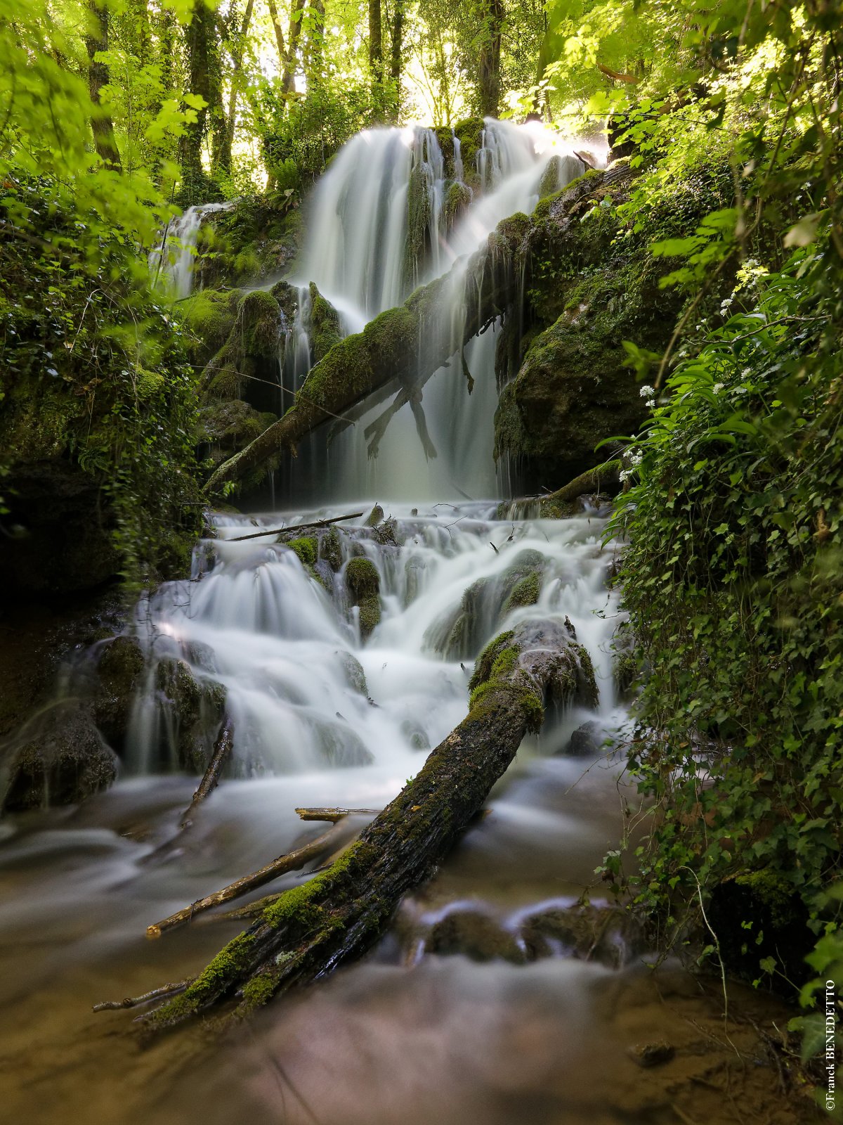 Ruisseau des Chaussières, Saint-Georges-de-Commiers Ruisseau des Chaussières, Saint-Georges-de-Commiers